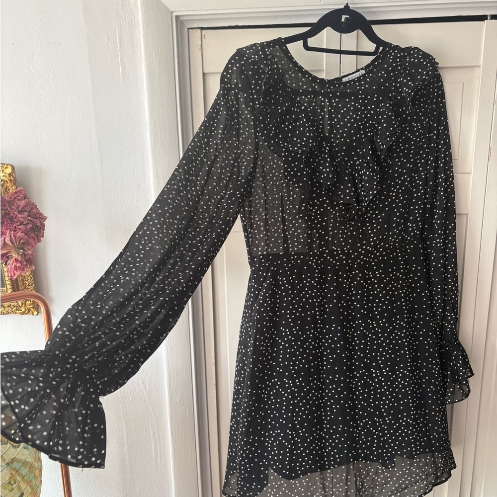 Sheer Black and White Polka Dot Long Sleeve Dress